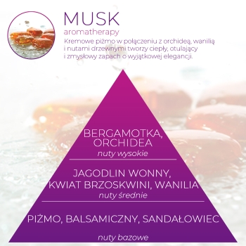 <B>MUSK</B> wkład zapachowy do Infinity Home